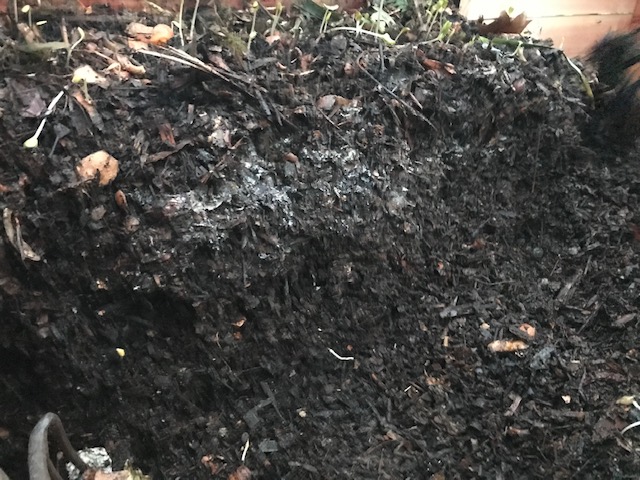 Les couches de compost du bac de collecte